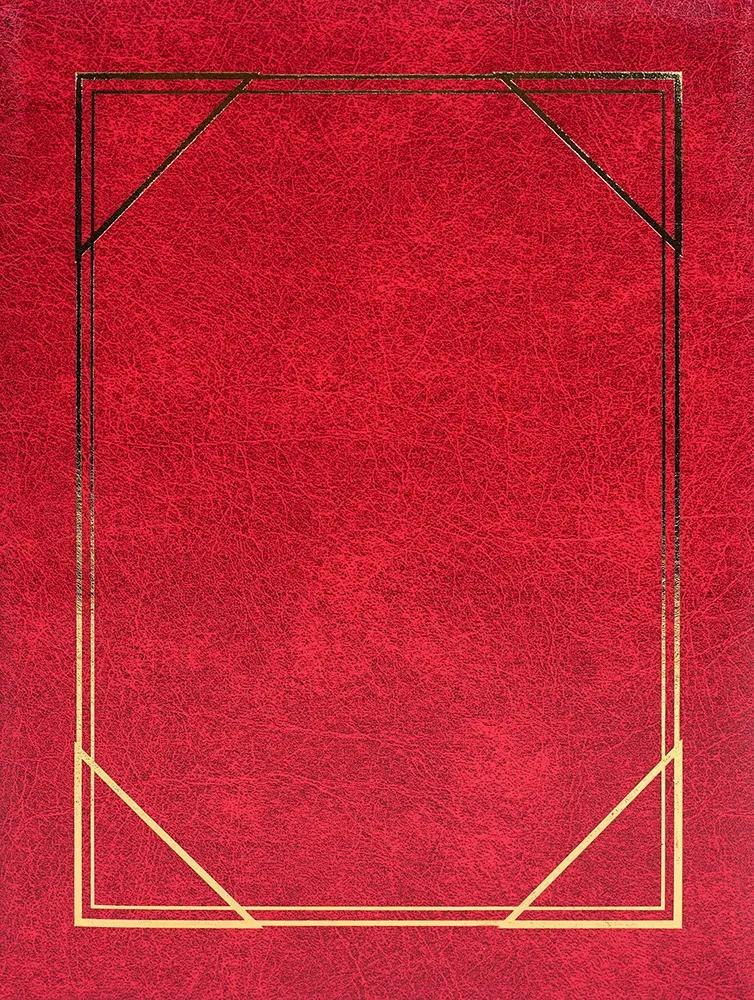 SAMOLEPIACE album 40 strán - Vinyl vínový