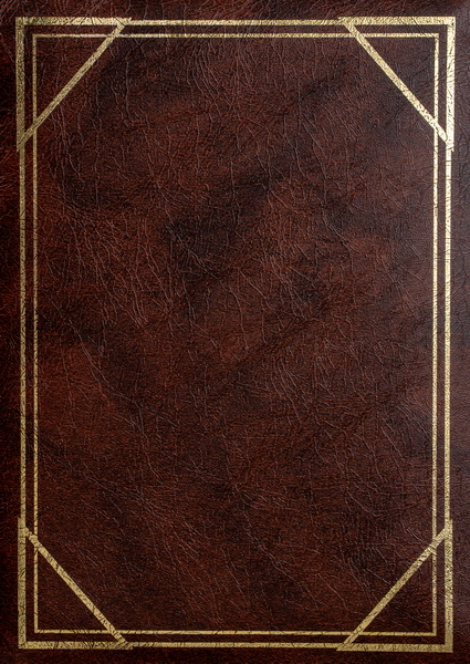 Fotoalbum 9x13 pro 200 fotografií Vinyl 2UP hnědé