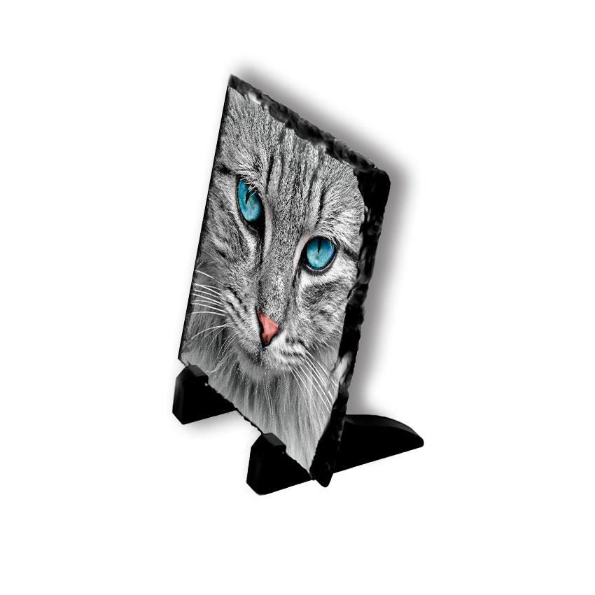 fotka na kameni čtverec